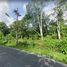  Land for sale in Phuket, Kathu, Kathu, Phuket