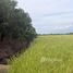  Land for sale in Thailand, Bang Yai, Bang Yai, Nonthaburi, Thailand