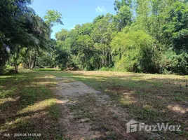 ขายที่ดิน ใน กลาย, นครศรีธรรมราช, กลาย, ท่าศาลา, นครศรีธรรมราช