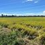  Земельный участок for sale in Khok Faet, Бангкок, Khok Faet, Нонг Чок