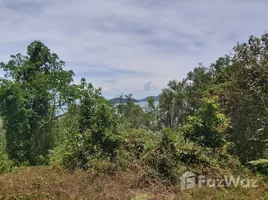  Land for sale in Phuket, Thep Krasattri, Thalang, Phuket