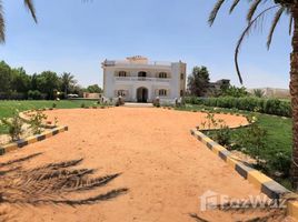 5 Habitación Villa en venta en European Countryside, Cairo Alexandria Desert Road