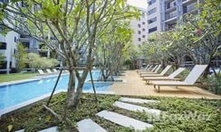 Fotos 2 of the Communal Pool at Blossom Condo @ Sathorn-Charoenrat