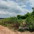  Land for sale in Rayong, Klaeng, Mueang Rayong, Rayong