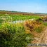  Terreno (Parcela) en venta en Sisa Krabue, Nakhon Nayok, Sisa Krabue, Ongkharak, Nakhon Nayok, Tailandia