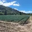 Terreno (Parcela) en venta en Honduras, Sinuapa, Ocotepeque, Honduras