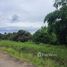  Land for sale in Thailand, Makhun Wan, San Pa Tong, Chiang Mai, Thailand