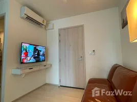 1 Bedroom Condo for rent at Life Asoke, Bang Kapi