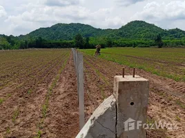 ขายที่ดิน ใน เขาดินพัฒนา, สระบุรี, เขาดินพัฒนา, เฉลิมพระเกียรติ, สระบุรี, ไทย
