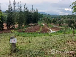  Terrain for sale in Phetchabun, Thung Samo, Khao Kho, Phetchabun