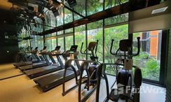 Photos 3 of the Fitnessstudio at Quintara Treehaus Sukhumvit 42