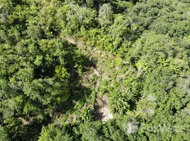 ขายที่ดิน ใน ป่าตอง, ภูเก็ต, ป่าตอง