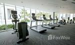 Communal Gym at Millennium Residence