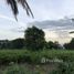  Land for sale in Lop Buri, Talung, Mueang Lop Buri, Lop Buri