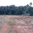 Terrain for sale in Krabi, Khao Din, Khao Phanom, Krabi