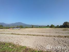 ขายที่ดิน ใน แม่สูน, เชียงใหม่, แม่สูน, ฝาง