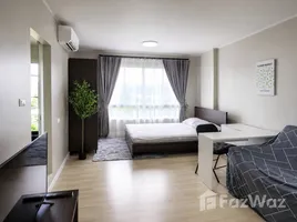 คอนโด 1 ห้องนอน ให้เช่า ในโครงการ ดีคอนโด กะทู้-ป่าตอง, กะทู้, กะทู้, ภูเก็ต