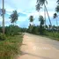  Land for sale in Palawan, Mimaropa, San Vicente, Palawan