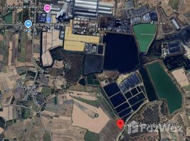  Land for sale in Phimai, Nakhon Ratchasima, Nong Rawiang, Phimai
