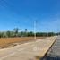  Land for sale in Phangnga, Khok Kloi, Takua Thung, Phangnga