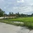  Земельный участок for sale in Muang Chum, Kanchanaburi, Muang Chum, Tha Muang, Kanchanaburi