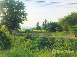 ขายที่ดิน ใน ท่าคล้อ, สระบุรี, ท่าคล้อ