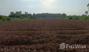 N/A Grundstück zu verkaufen in Bueng Phra, Phitsanulok 