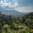  Land for sale in Ko Pha-Ngan, Surat Thani, Ban Tai, Ko Pha-Ngan
