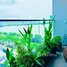 2 Habitación Apartamento en alquiler en The Filmore Danang, Binh Thuan