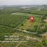  Land for sale in Nong Lalok, Rayong, Nong Lalok, Ban Khai