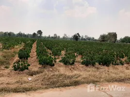  토지을(를) 나콘 랏차 시마에서 판매합니다., 수라 나리, Mueang Nakhon Ratchasima, 나콘 랏차 시마