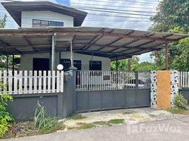 3 Schlafzimmer Haus zu vermieten in Chiang Mai, Tha Wang Tan, Saraphi, Chiang Mai