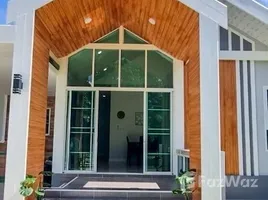 3 chambre Maison for rent in Chiang Mai, Tha Wang Tan, Saraphi, Chiang Mai