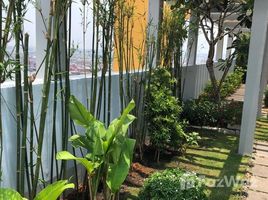 4 Phòng ngủ Penthouse cho thuê ở An Phú, TP.Hồ Chí Minh The Vista
