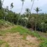  Land for sale in Koh Samui Surat Thani, Maret, Koh Samui