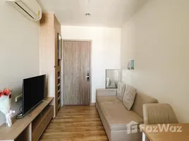 อพาร์ทเม้นท์ 1 ห้องนอน ให้เช่า ในโครงการ นิช โมโน สุขุมวิท - แบริ่ง, สำโรงเหนือ, เมืองสมุทรปราการ, สมุทรปราการ