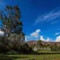  Terreno (Parcela) en venta en Cusco, Urubamba, Urubamba, Cusco