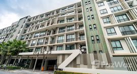 ยูนิตมือสองและให้เช่า