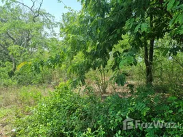  Grundstück zu verkaufen in Kamphaeng Saen, Nakhon Pathom, Don Khoi, Kamphaeng Saen, Nakhon Pathom