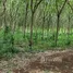  Land for sale in Laem Ngop Trat, Laem Ngop, Laem Ngop, Trat