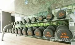 รูปถ่าย 2 of the Communal Gym at เดอะ เดค ป่าตอง