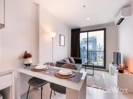 อพาร์ทเม้นท์ 1 ห้องนอน ให้เช่า ในโครงการ ริทึ่ม สุขุมวิท 42, พระโขนง