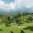  Land for sale in Ban Pong, Chiang Mai, Ban Pong, Hang Dong, Chiang Mai