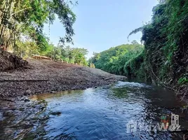 ขายที่ดิน ใน สะเนียน, น่าน, สะเนียน, เมืองน่าน