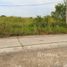  Land for sale in Nong Chok, Bangkok, Lam Phak Chi, Nong Chok