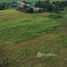  Land for sale in Chon Buri, Nong Chak, Ban Bueng, Chon Buri