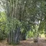 Land for sale in Perez Zeledon, San Jose, Perez Zeledon