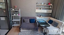 ยูนิตมือสองและให้เช่า