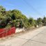  Land for sale in Phanao, Nakhon Ratchasima, Phanao