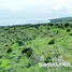  Grundstück zu verkaufen in Lewa, East Nusa Tenggara, Lewa